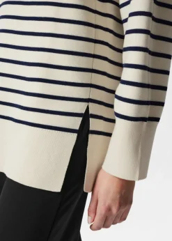 Discount & Other Stories Pull Rayé Bleu marine/Blanc